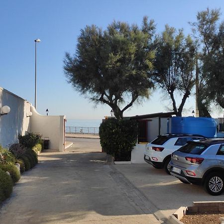 Seagull Apartments - Front And Sea View & Airport Bari Exterior photo