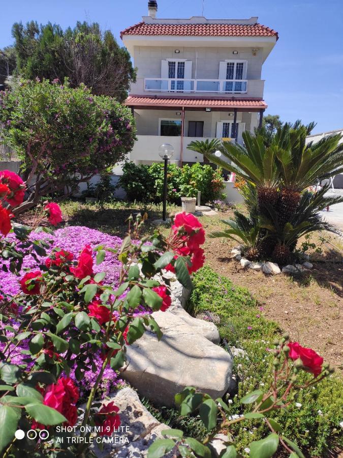 Seagull Apartments - Front And Sea View & Airport Bari Exterior photo