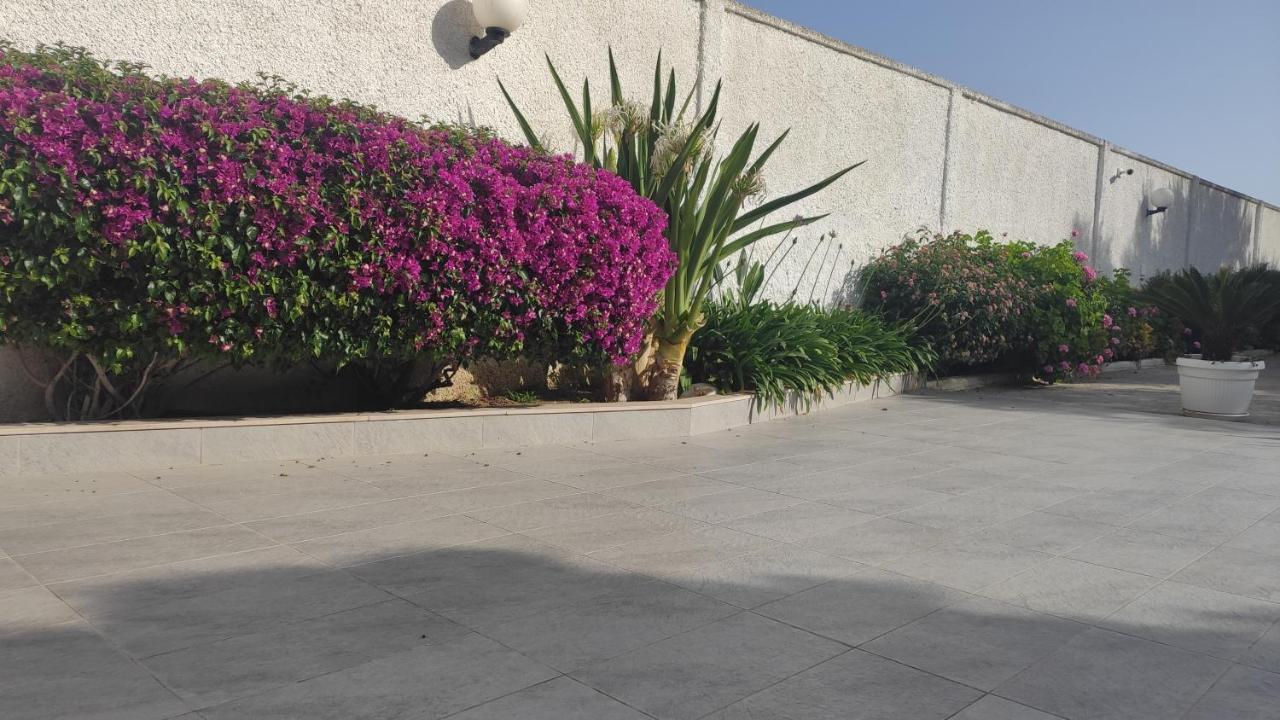 Seagull Apartments - Front And Sea View & Airport Bari Exterior photo