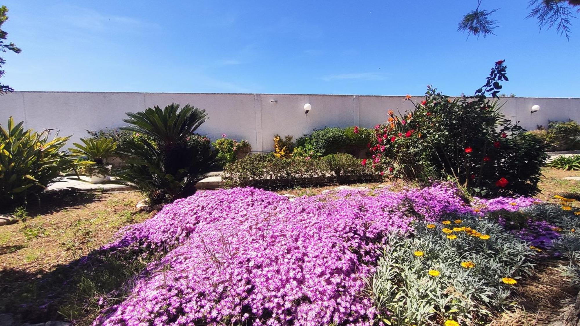 Seagull Apartments - Front And Sea View & Airport Bari Exterior photo